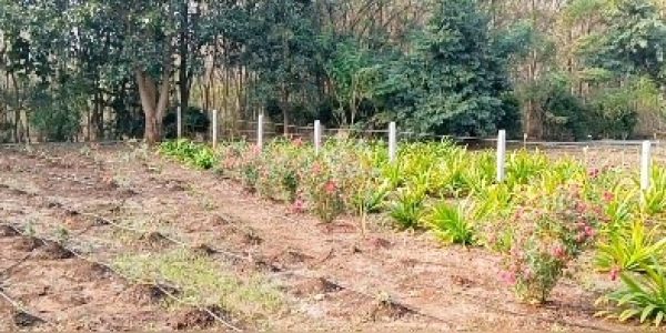Chhindwara Project photo 10