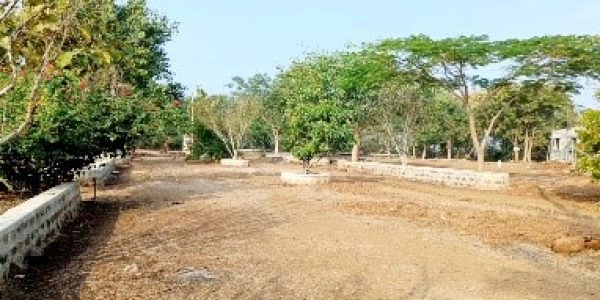 Chhindwara Project photo 15