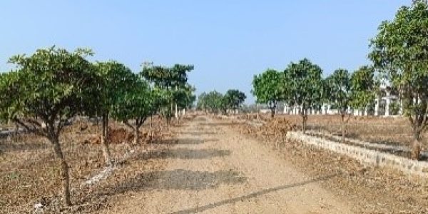 Chhindwara Project photo 16