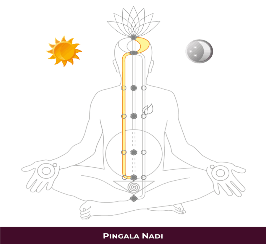 Pingala Nadi — Right Channel