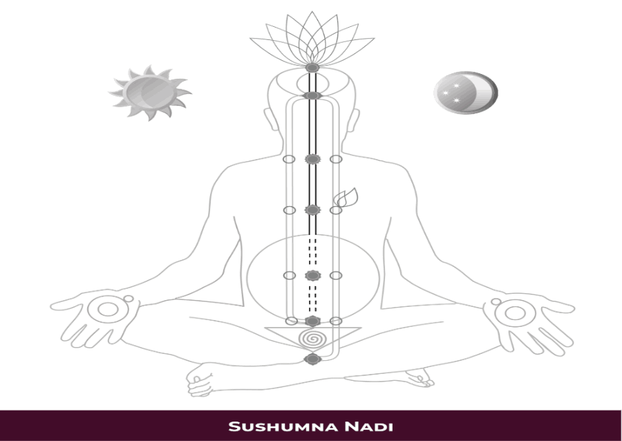 Sushumna Nadi — Central Channel