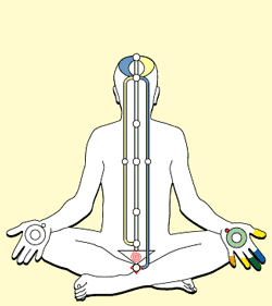 Subtle system — nadis and chakras